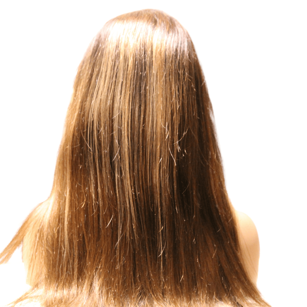 Chestnut Brown Dirty Blonde Highlights Lace Front Virgin Human Hair Wig