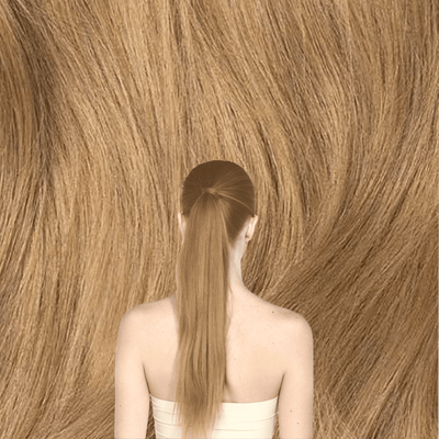 Strawberry Blonde | Remy Human Hair Clip-In Ponytails